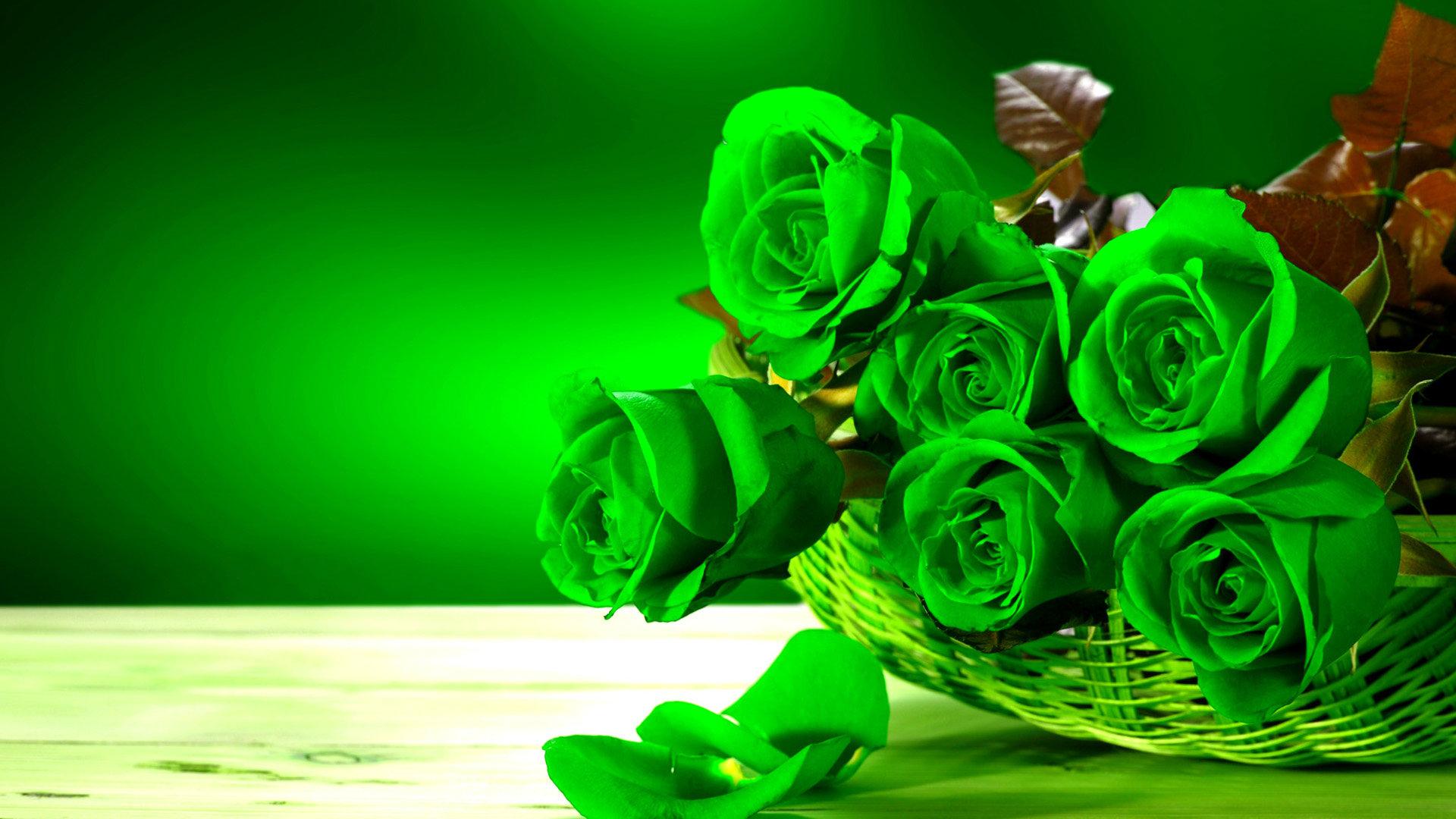 Aesthetic Green Floral Hd Wallpapers