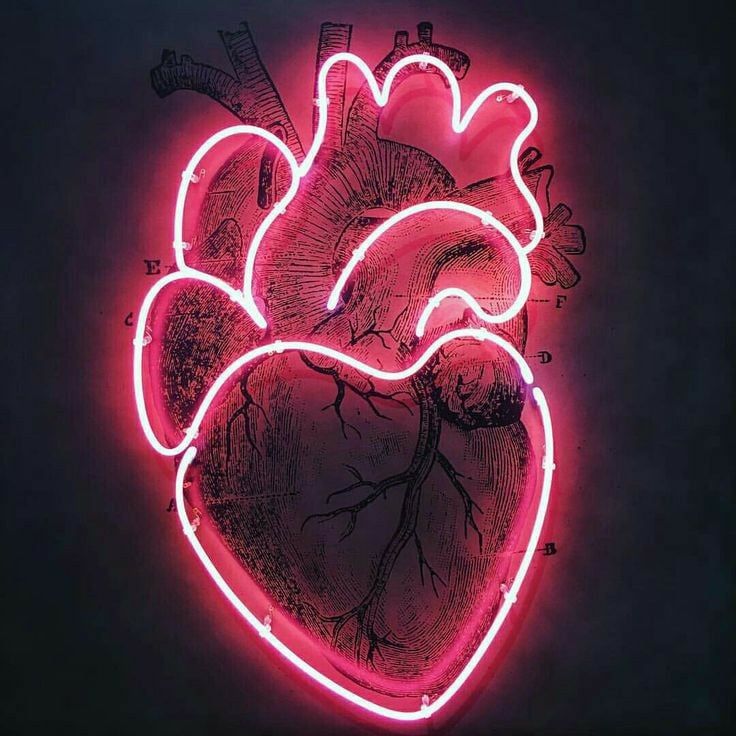 Aesthetic Grunge Neon Signs Wallpapers