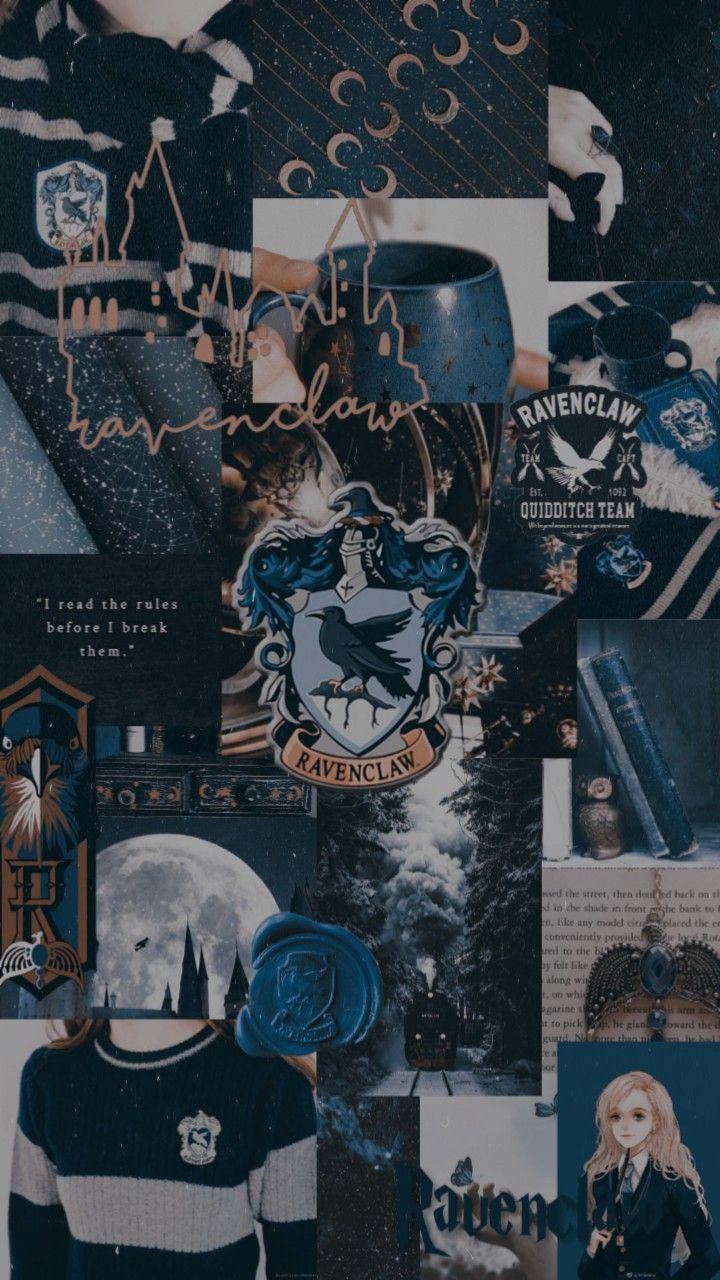Aesthetic Harry Potter House Wallpapers