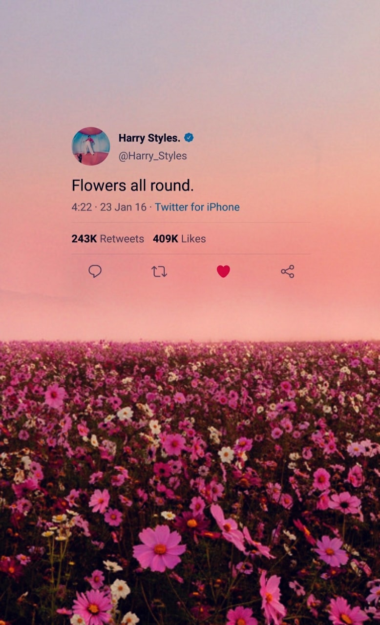 Aesthetic Harry Styles Wallpapers