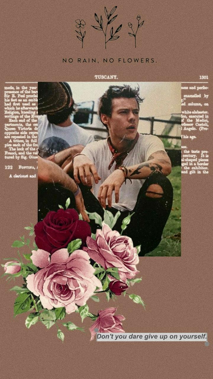 Aesthetic Harry Styles Wallpapers