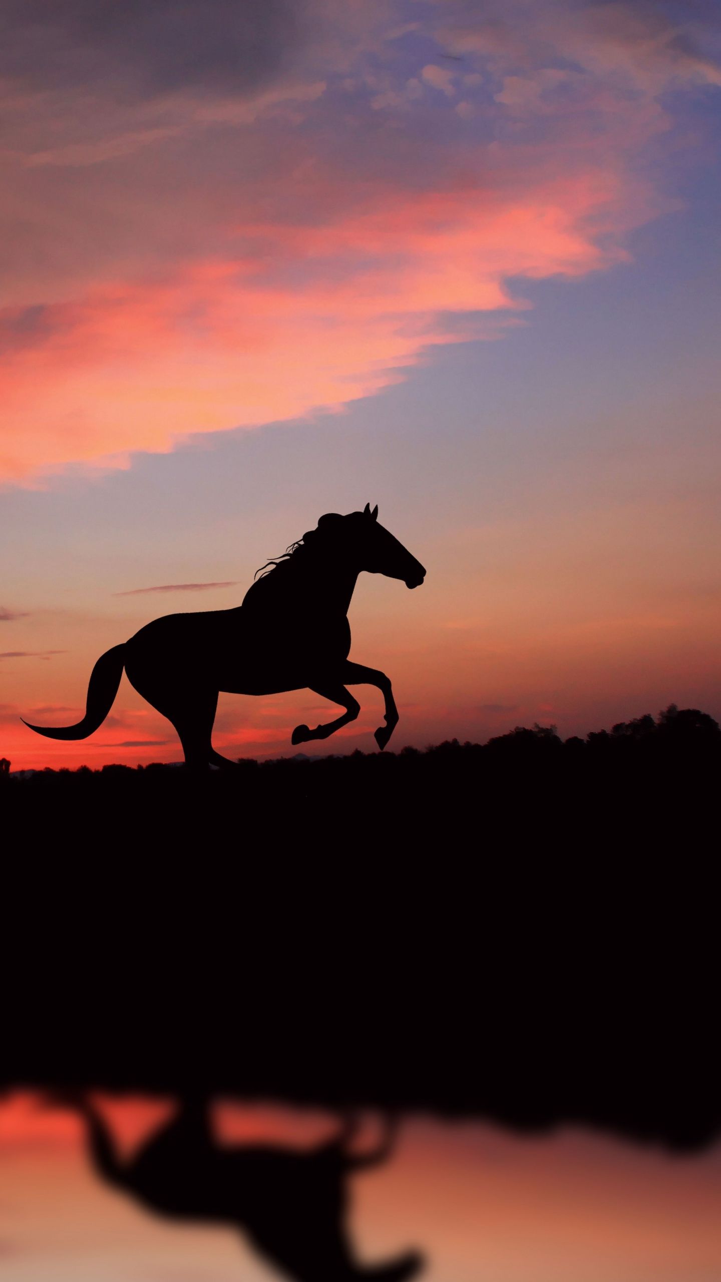 Aesthetic Horse Wallpapers