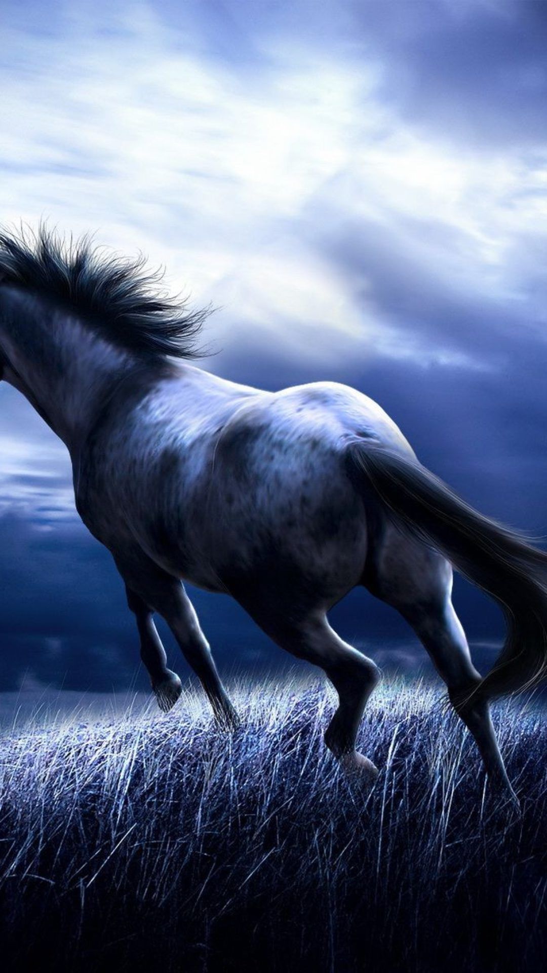 Aesthetic Horse Wallpapers