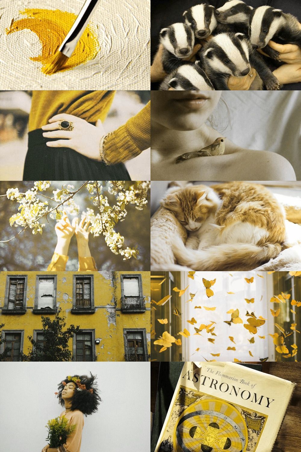 Aesthetic Hufflepuff Wallpapers