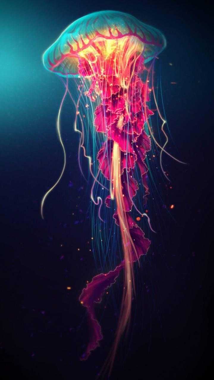 Aesthetic Jellyfish Wallpapers