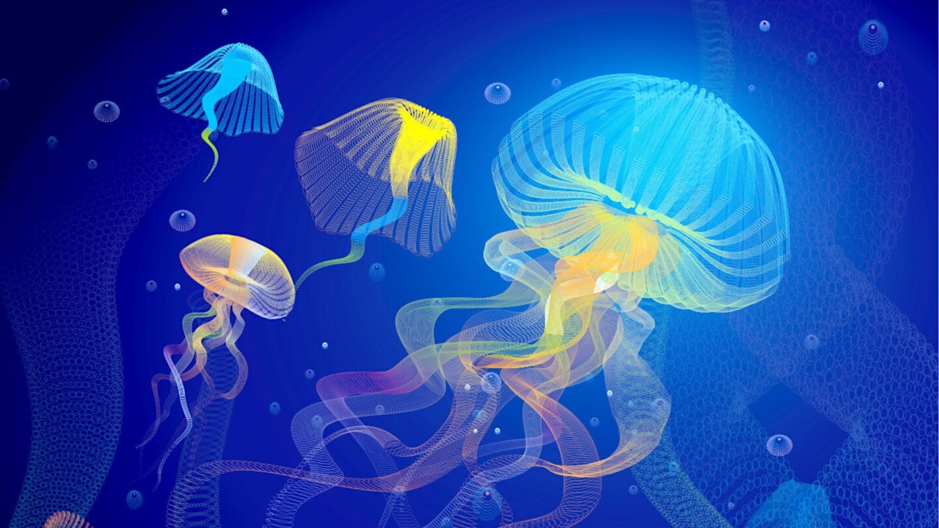 Aesthetic Jellyfish Wallpapers