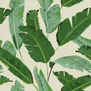 Aesthetic Leaf Painting Wallpapers