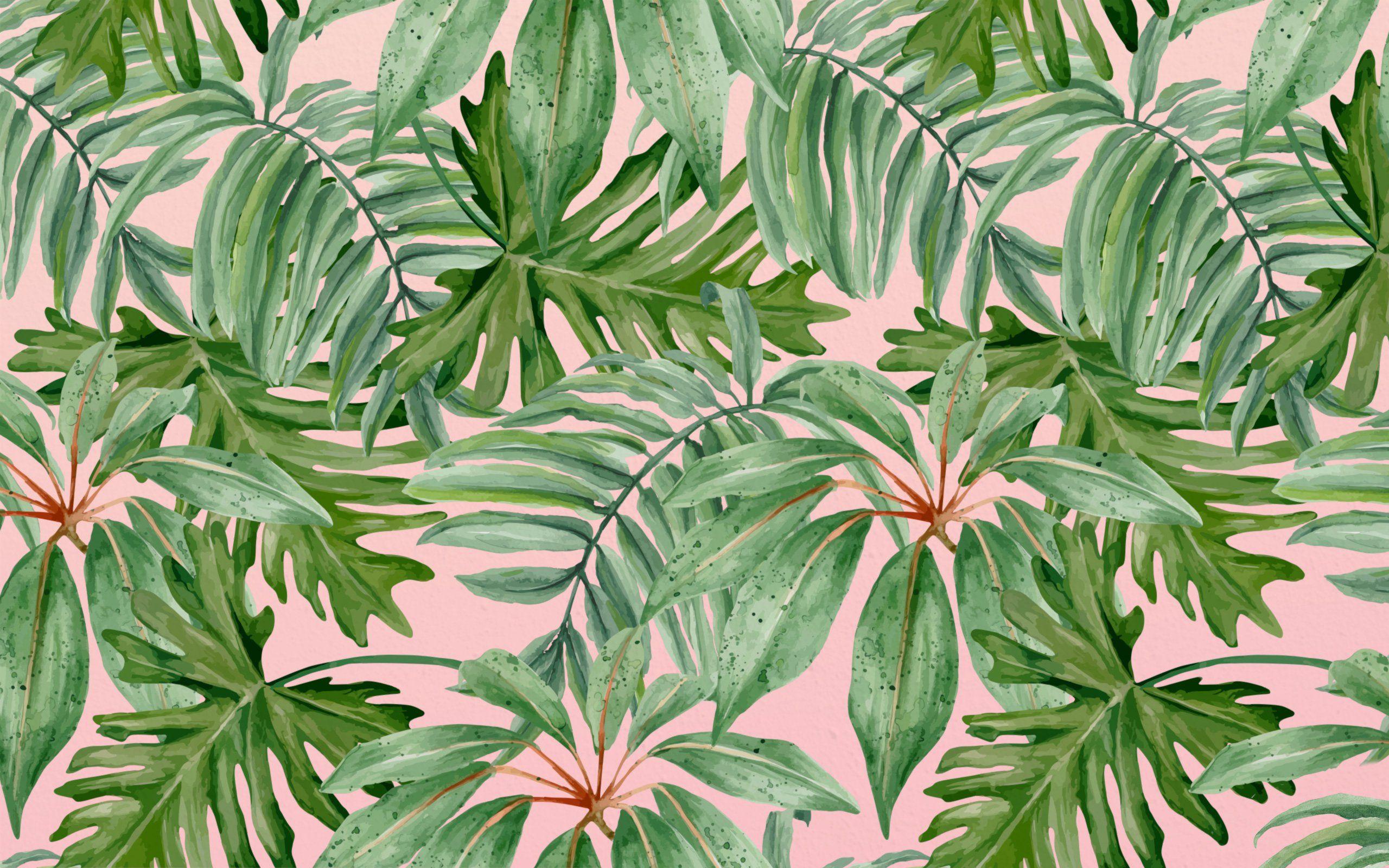 Aesthetic Leaves Wallpapers