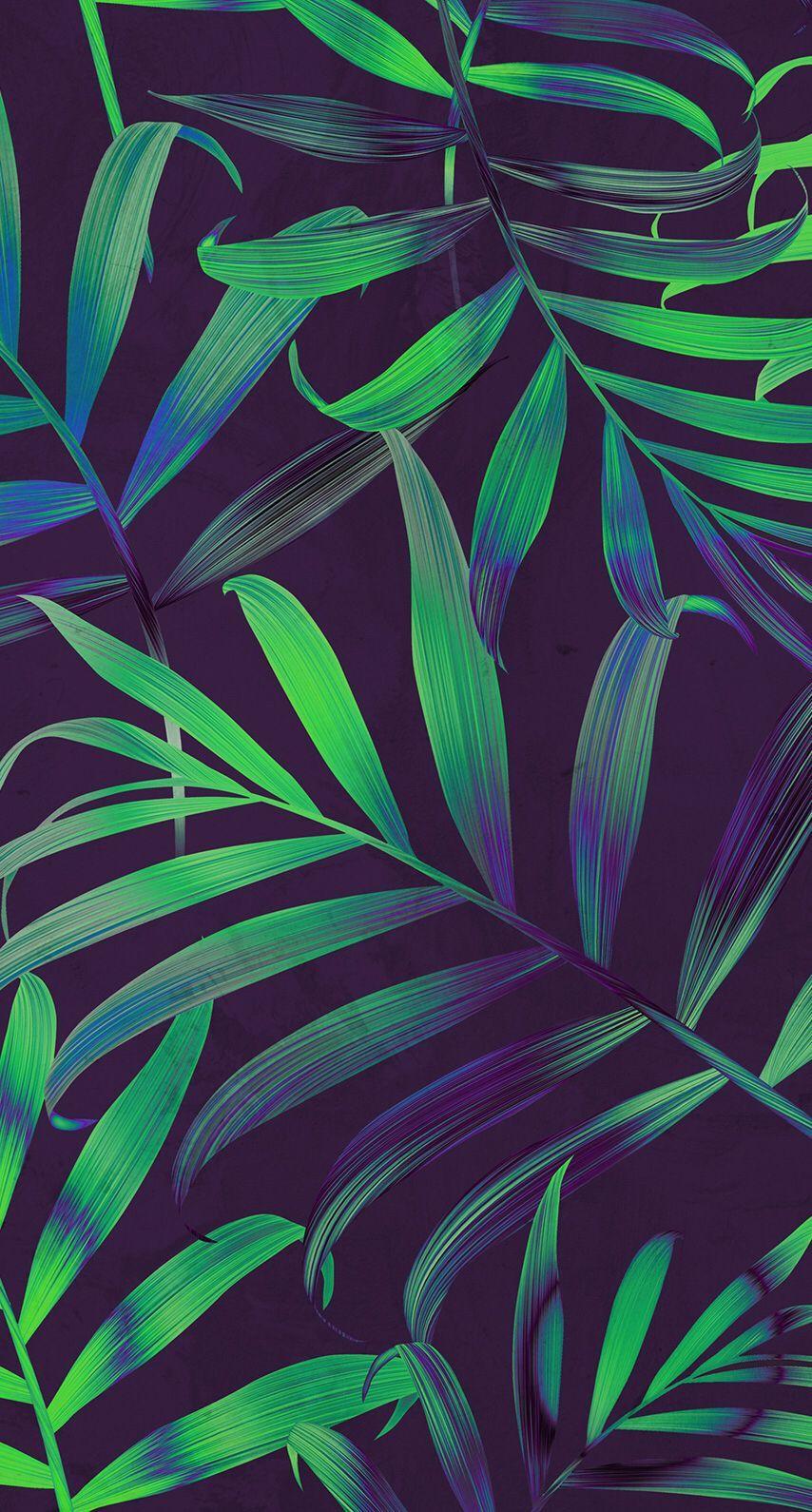 Aesthetic Leaves Wallpapers