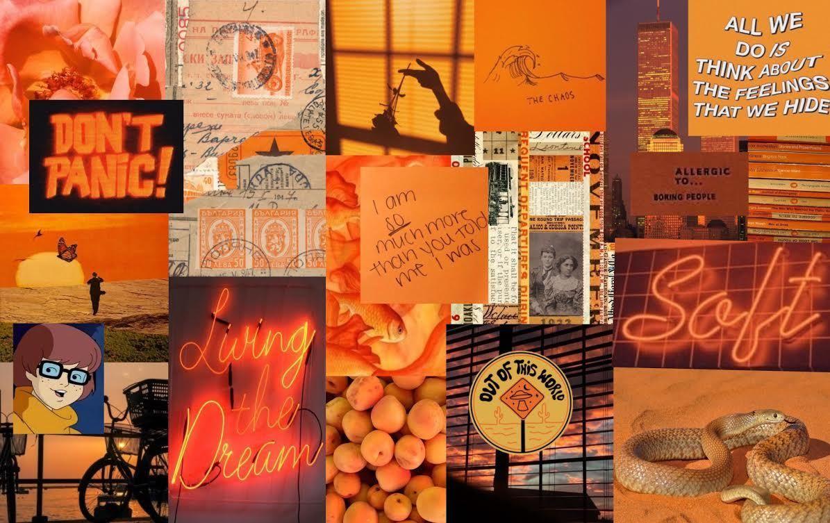 Aesthetic Light Orange Wallpapers