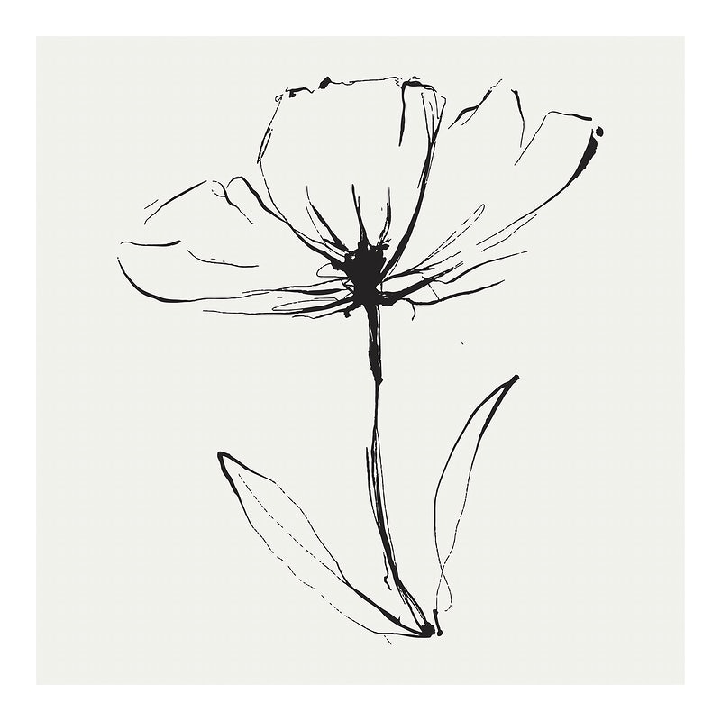 Aesthetic Minimalist Flower Drawing Wallpapers