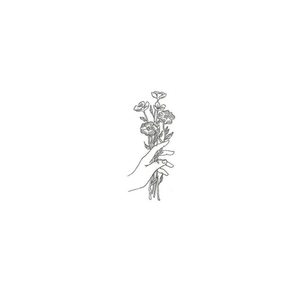 Aesthetic Minimalist Flower Drawing Wallpapers