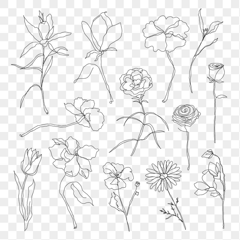 Aesthetic Minimalist Flower Drawing Wallpapers