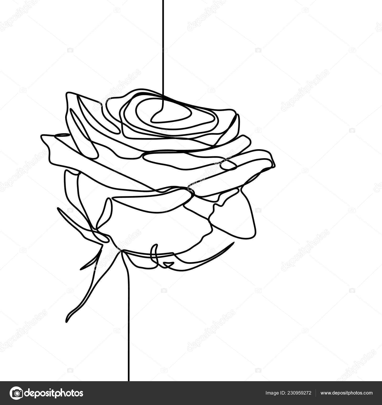 Aesthetic Minimalist Flower Drawing Wallpapers