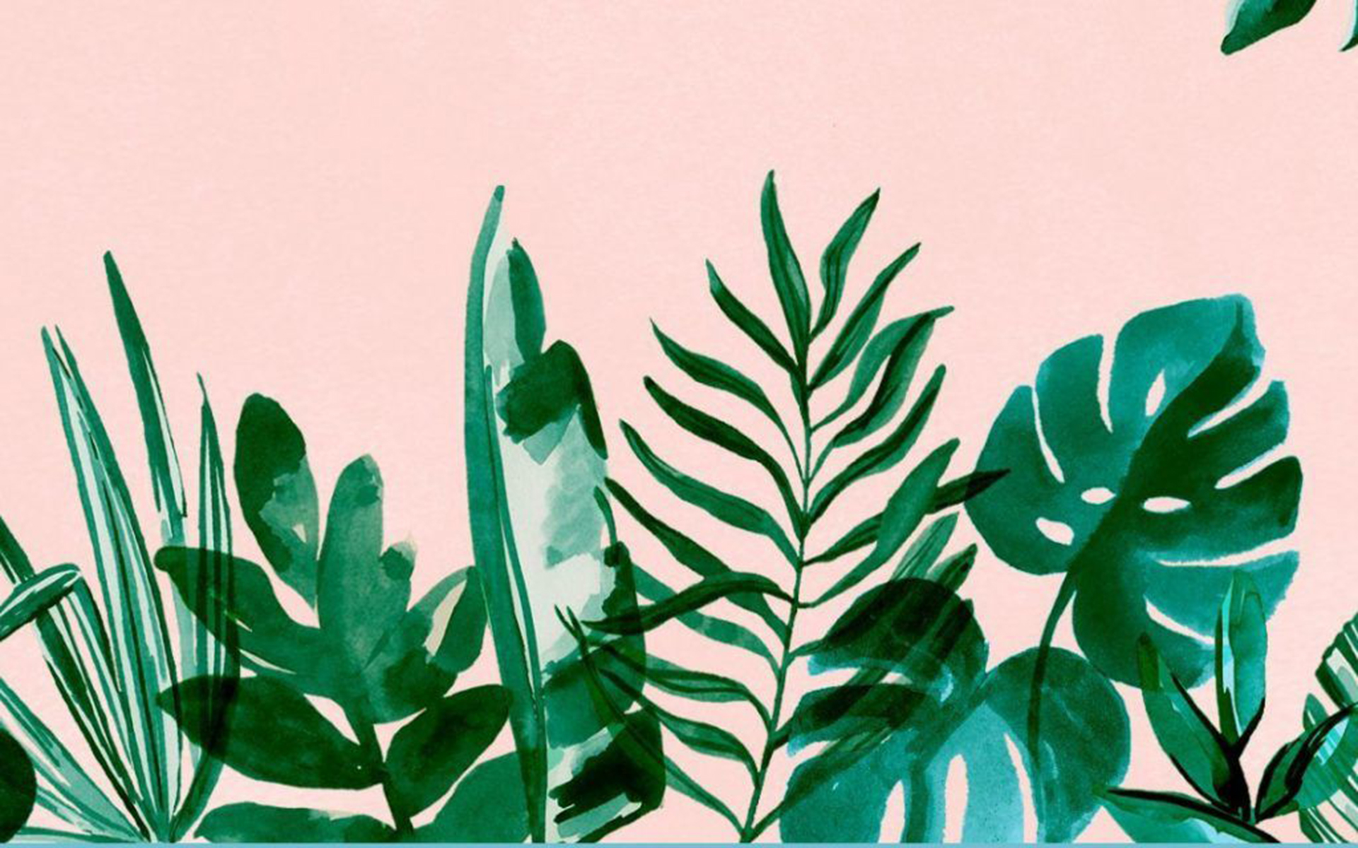 Aesthetic Minimalist Plant Desktop Wallpapers