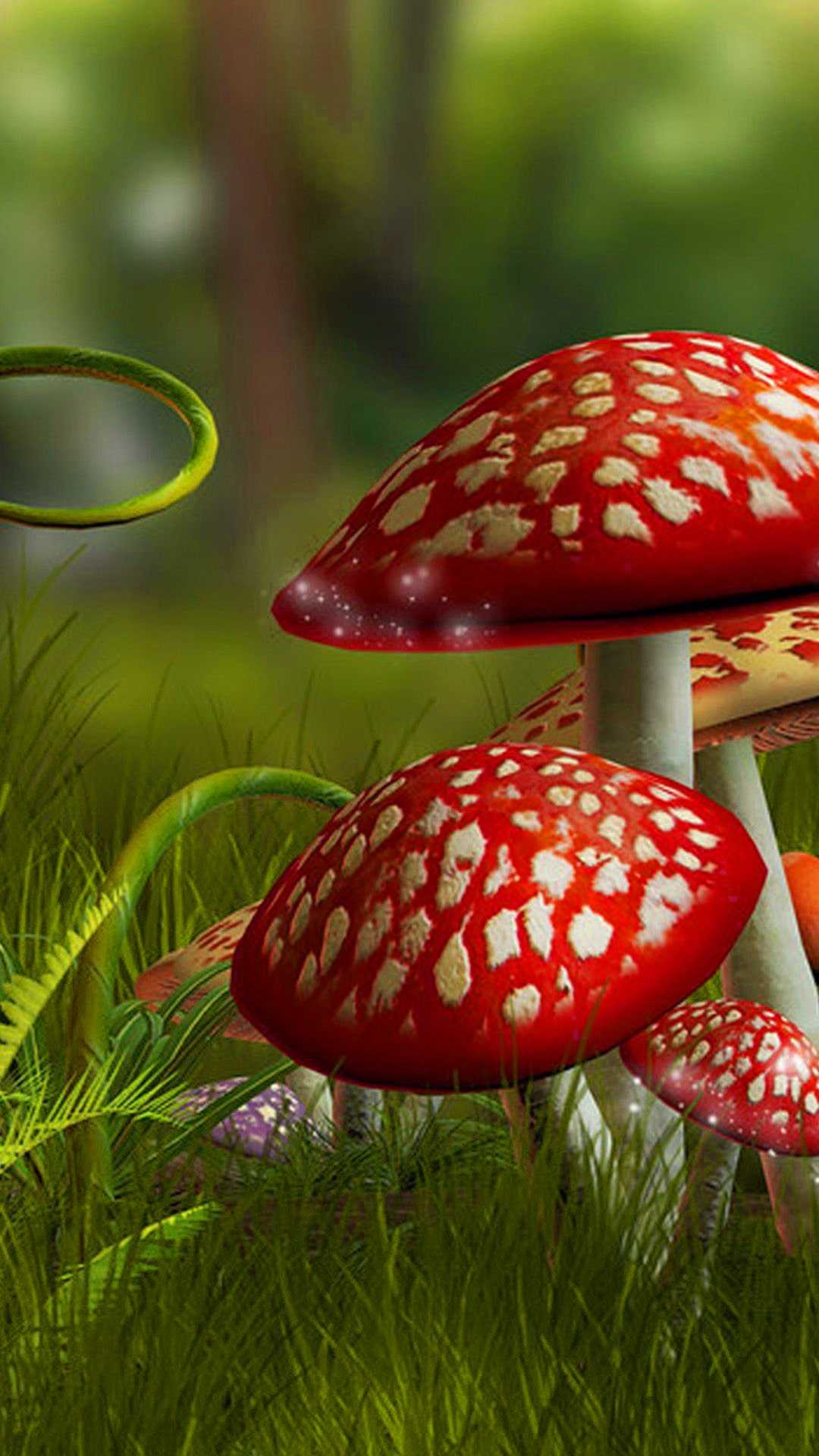 Aesthetic Mushroom Wallpapers