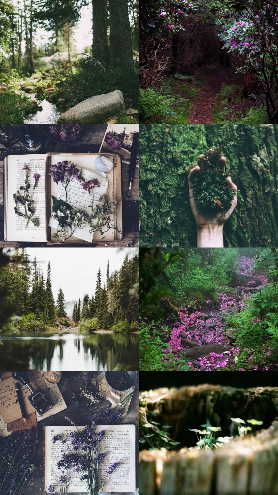 Aesthetic Nature Tumblr Wallpapers