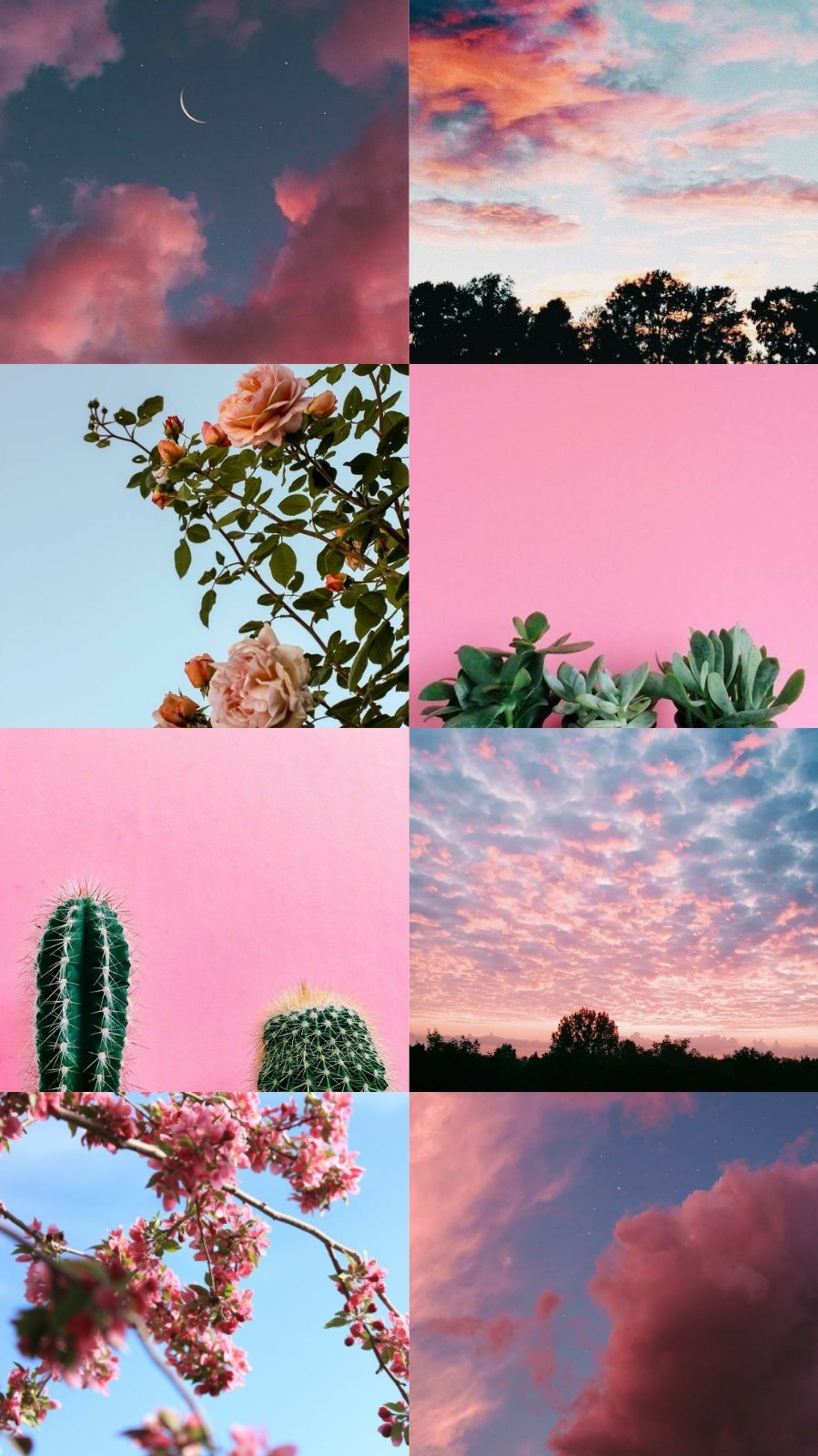 Aesthetic Nature Tumblr Wallpapers