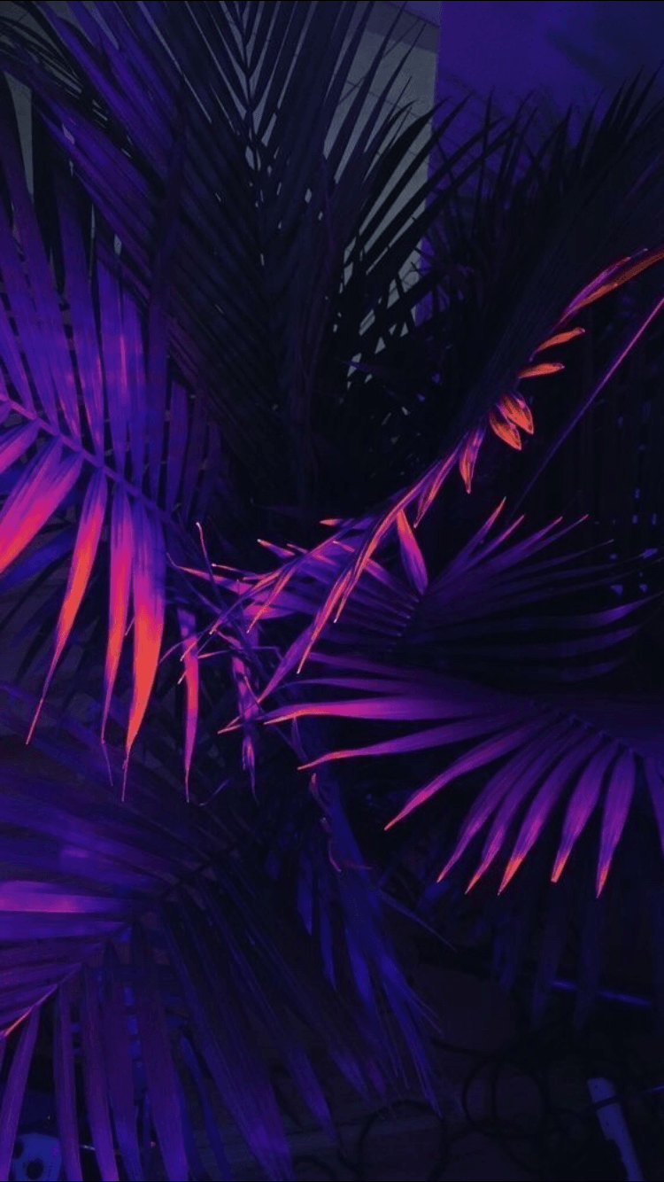 Aesthetic Neon Purple Wallpapers