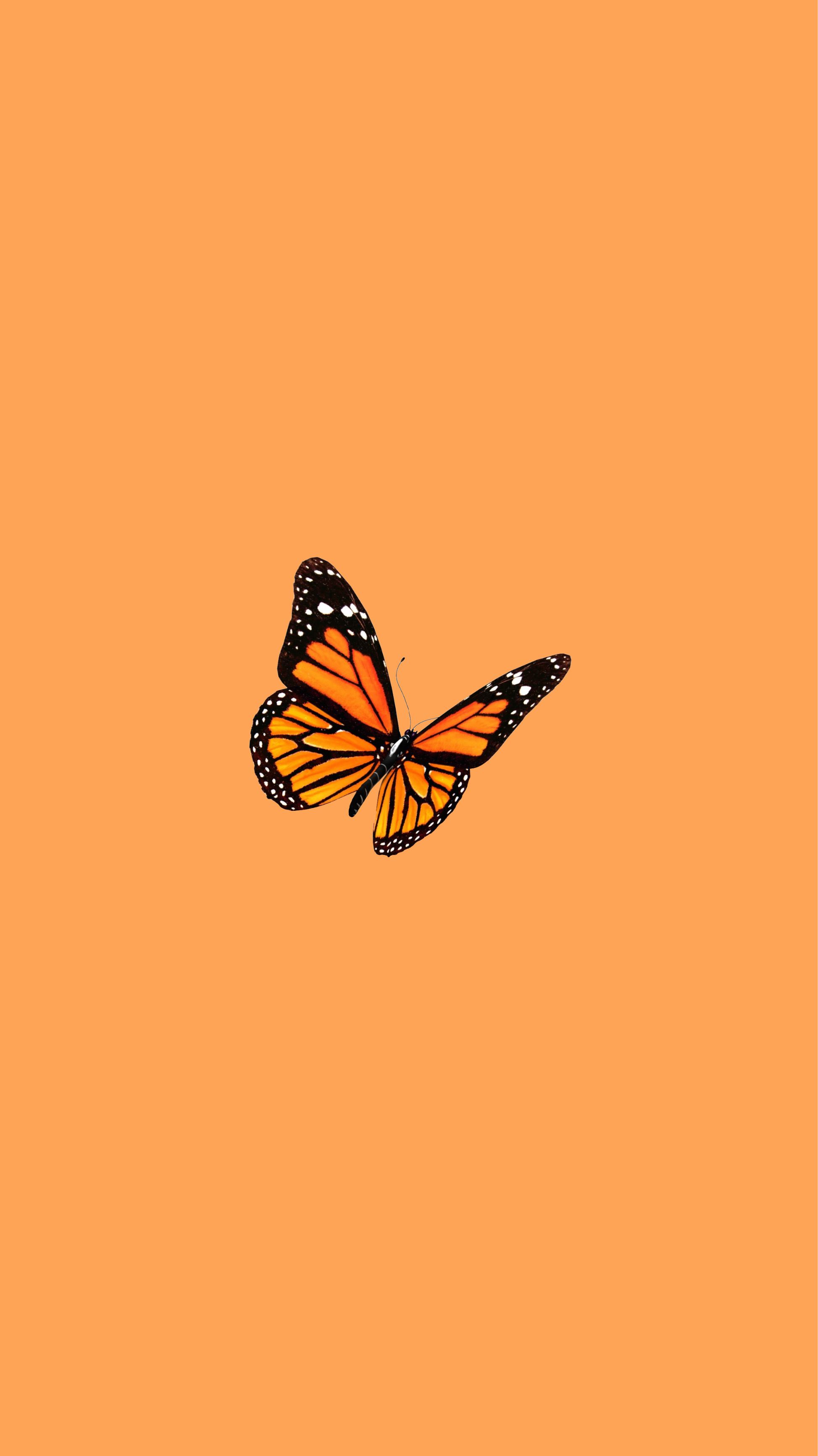 Aesthetic Orange Butterfly Wallpapers