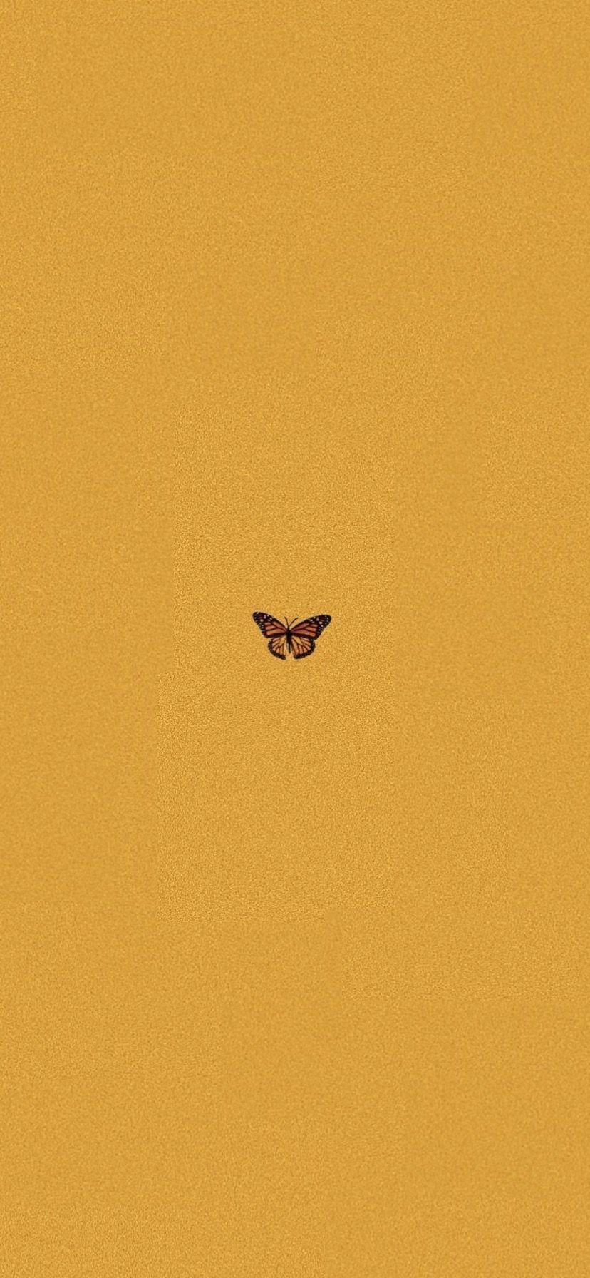 Aesthetic Orange Butterfly Wallpapers