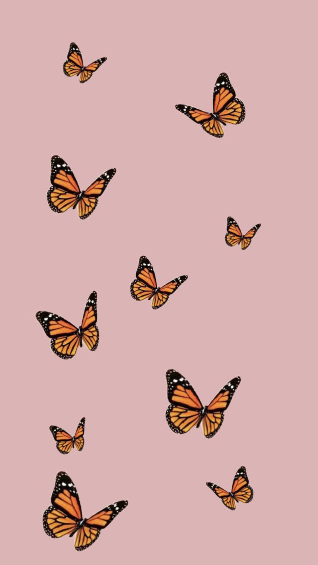 Aesthetic Orange Butterfly Wallpapers