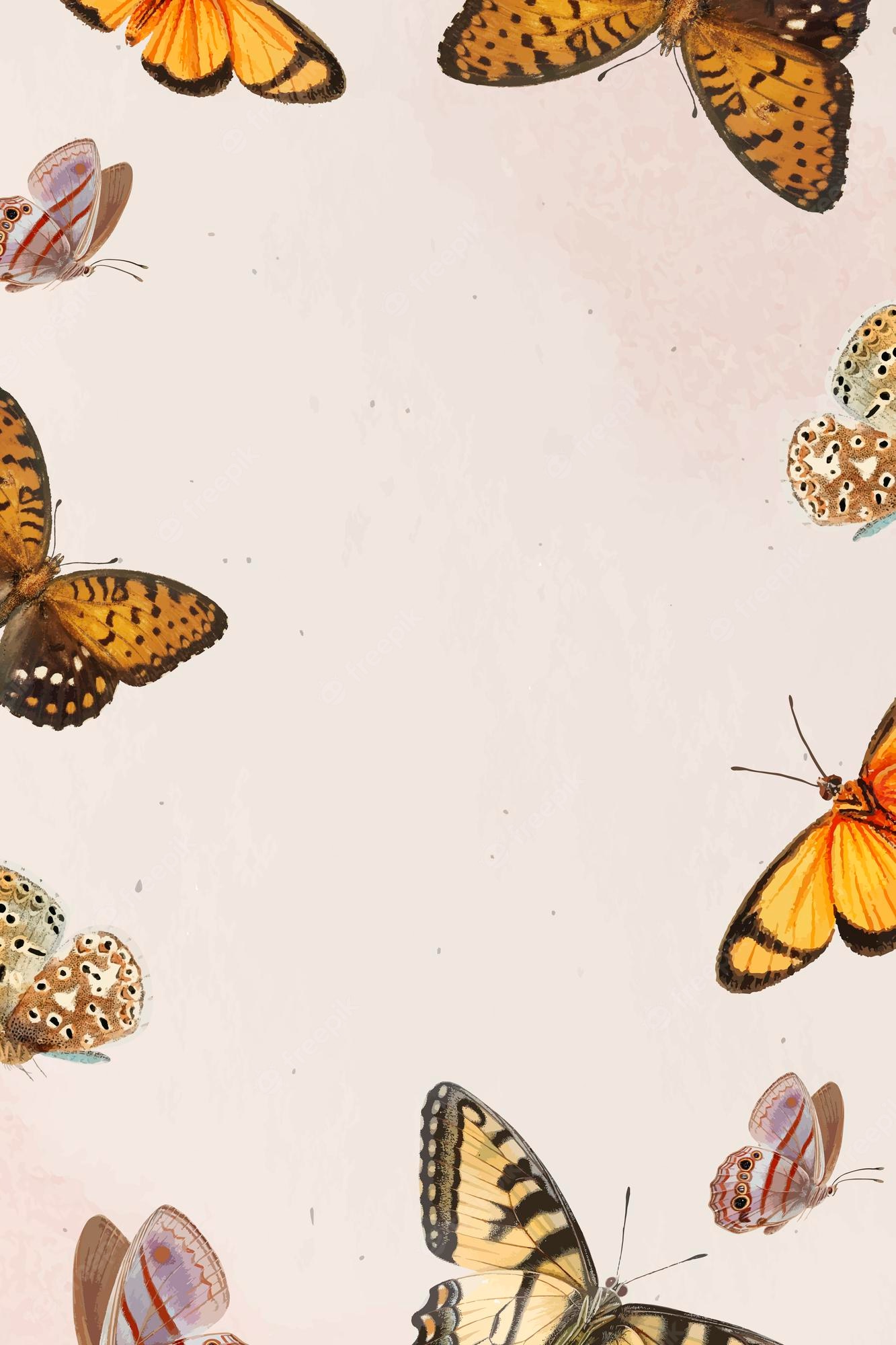 Aesthetic Orange Butterfly Wallpapers