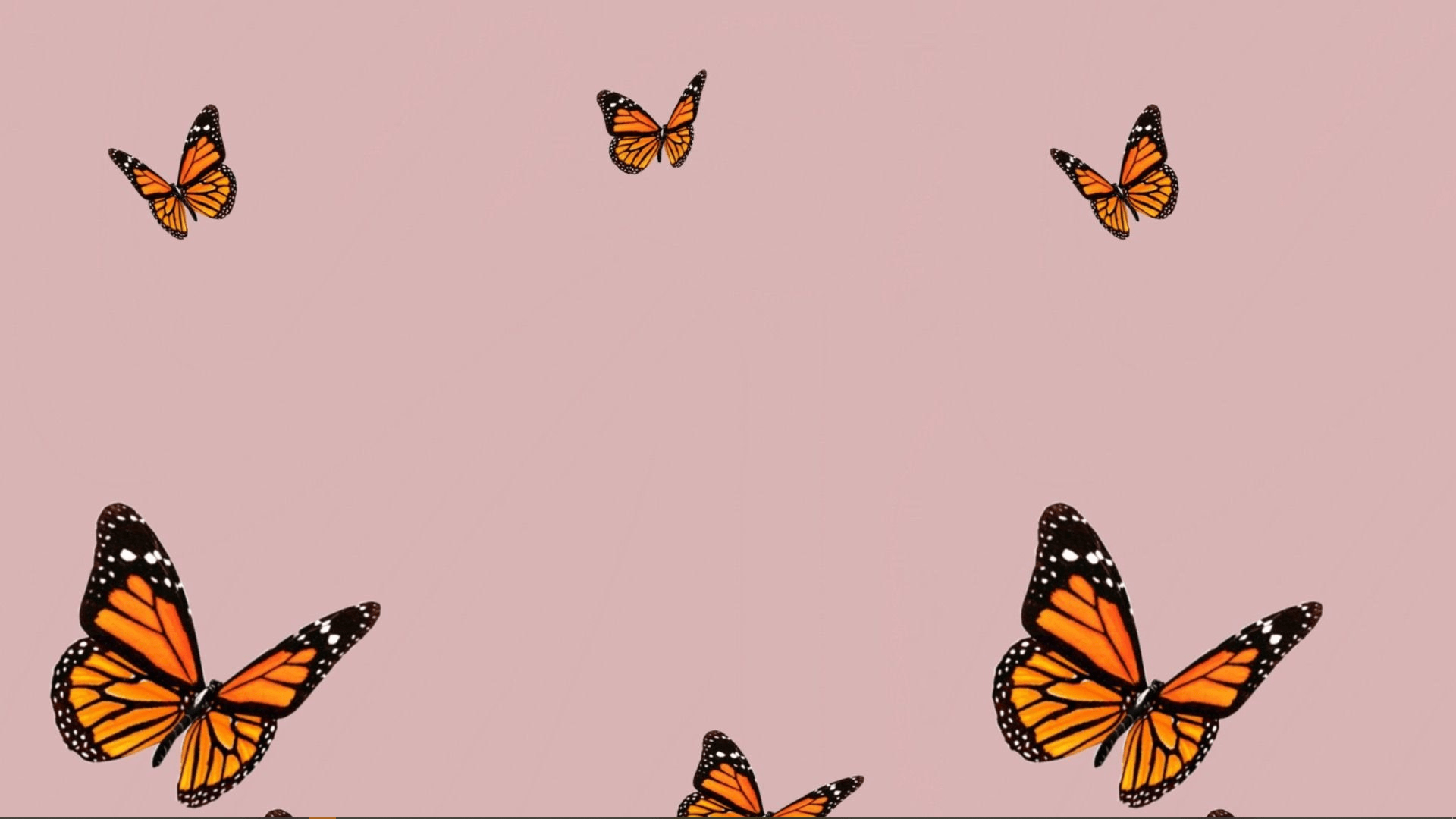 Aesthetic Orange Butterfly Wallpapers