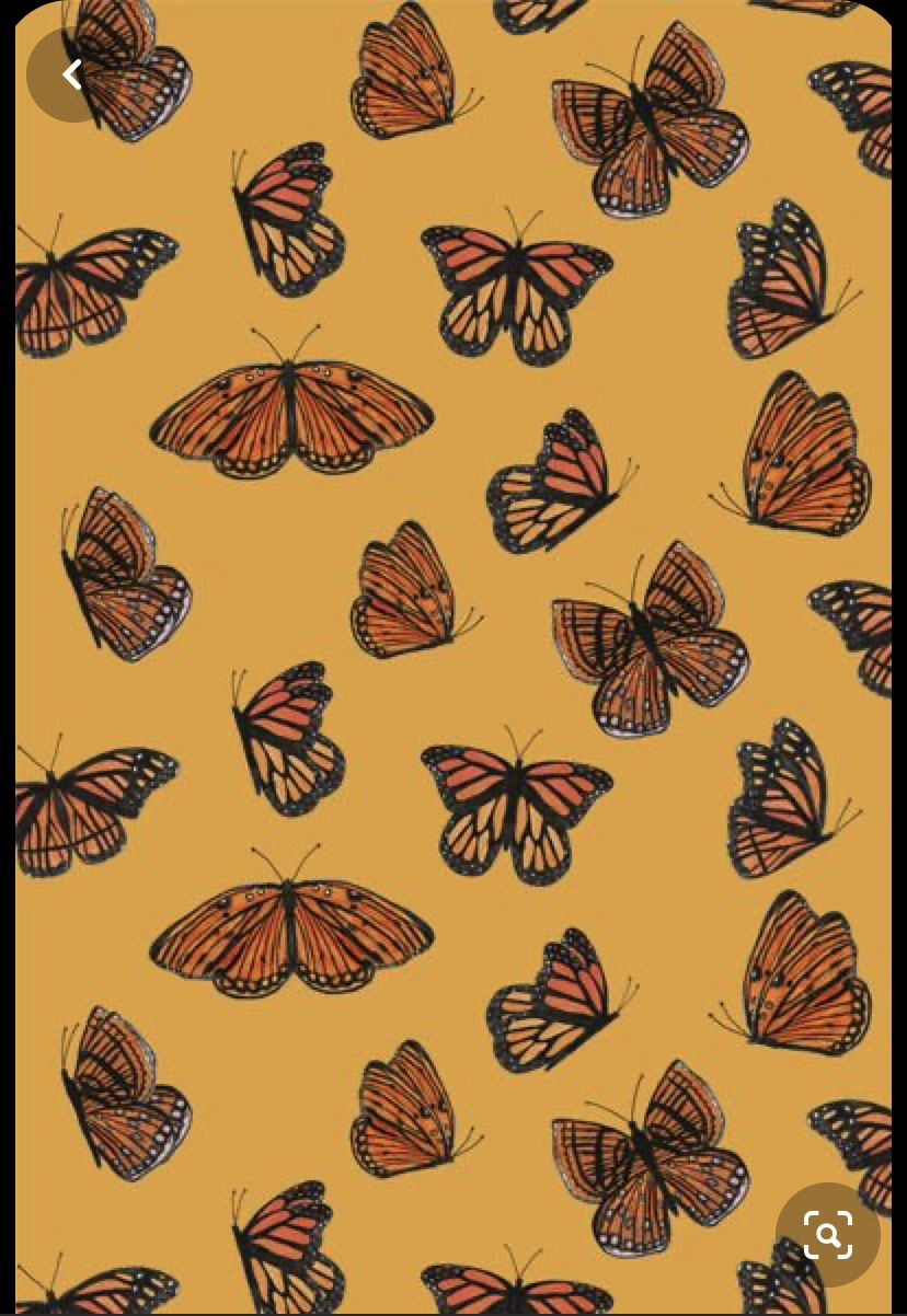 Aesthetic Orange Butterfly Wallpapers