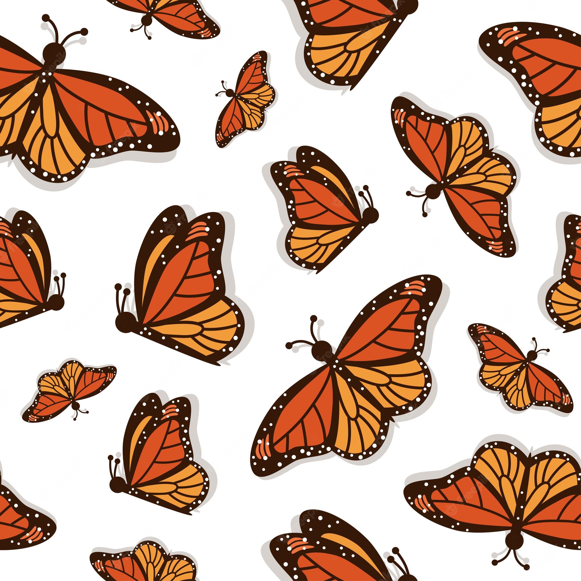 Aesthetic Orange Butterfly Wallpapers