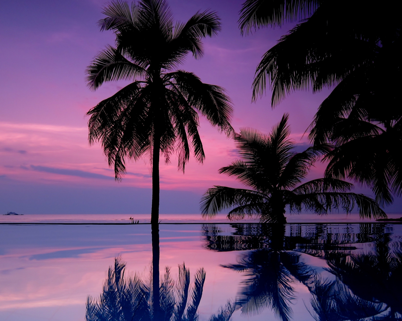 Aesthetic Palm Tree Wallpapers