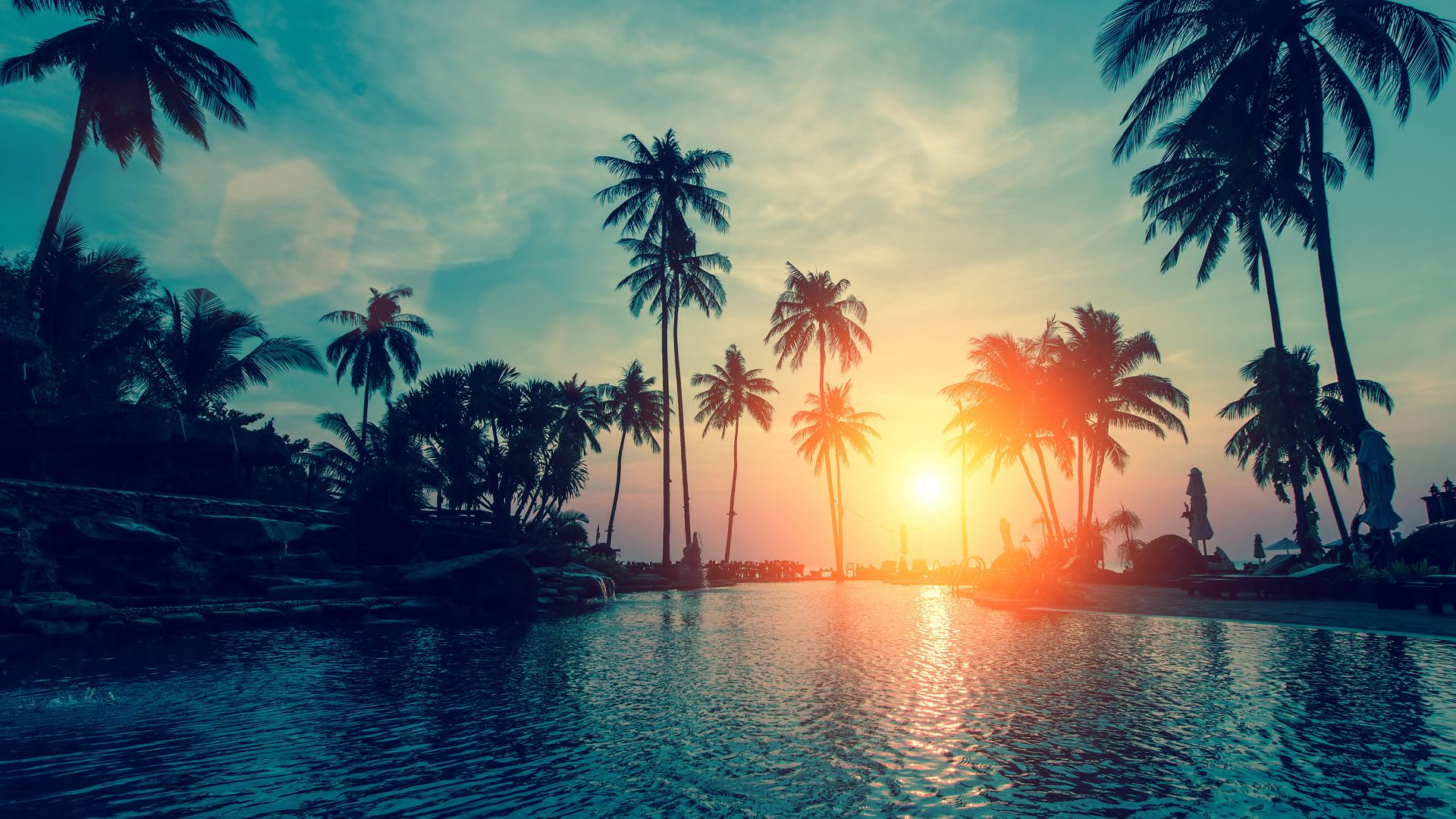 Aesthetic Palm Tree Wallpapers