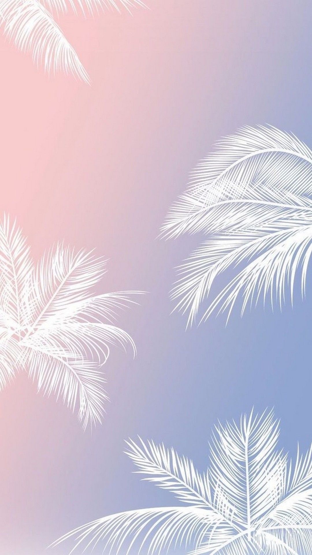 Aesthetic Palm Tree Phone Wallpapers