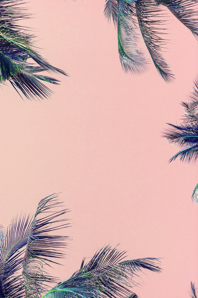 Aesthetic Palm Trees Wallpapers