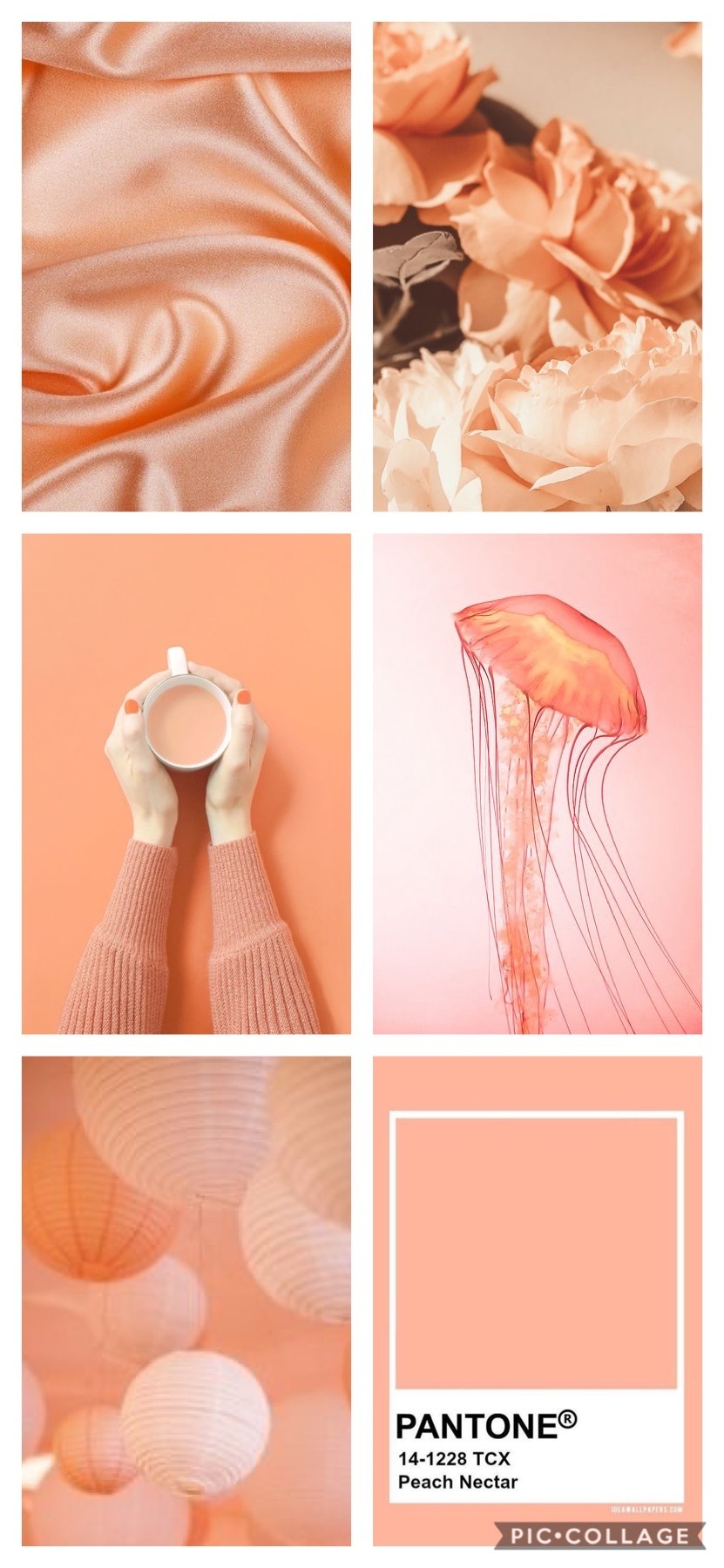 Aesthetic Pastel Orange Wallpapers