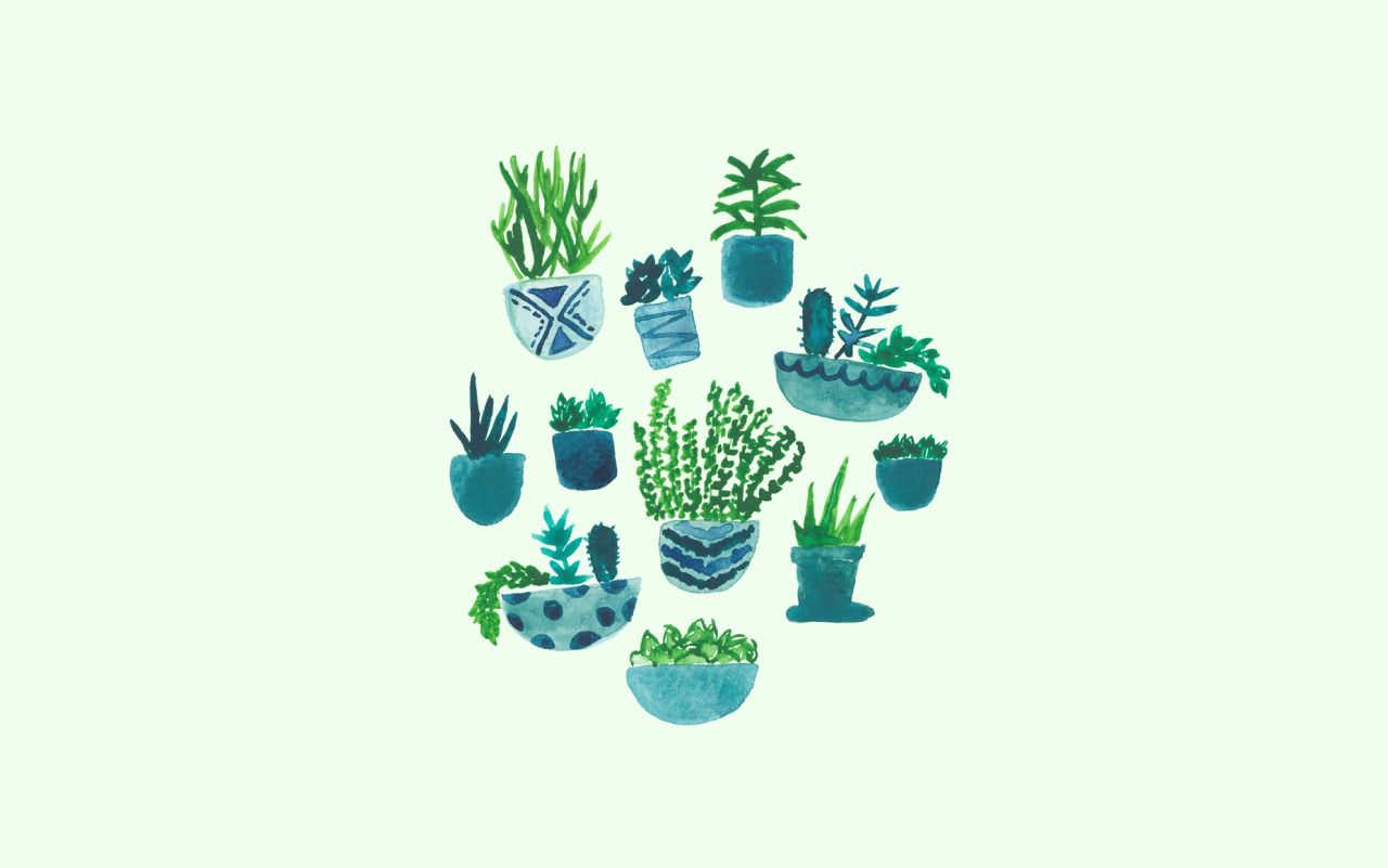 Aesthetic Plants Wallpapers