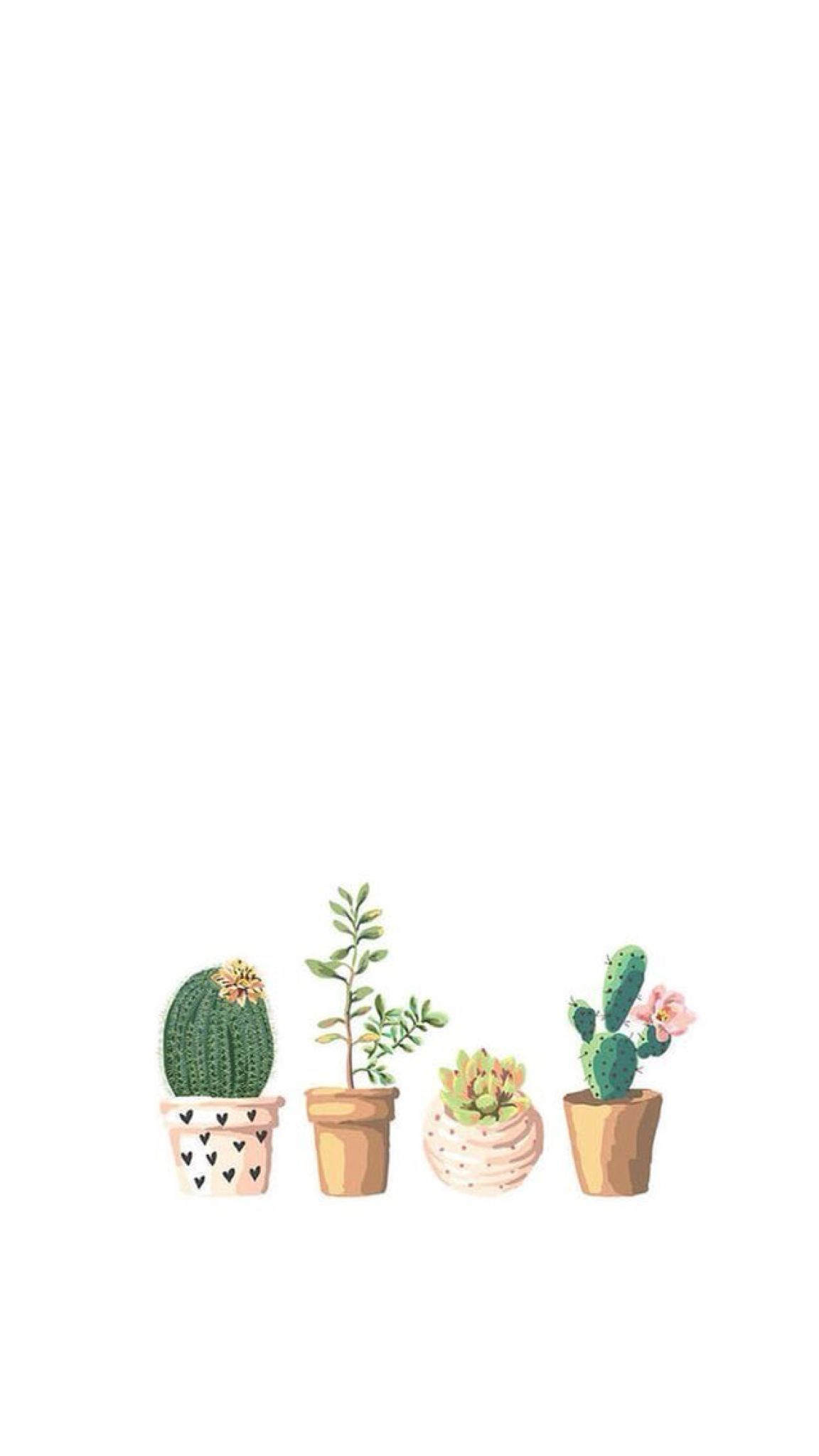 Aesthetic Plants Wallpapers