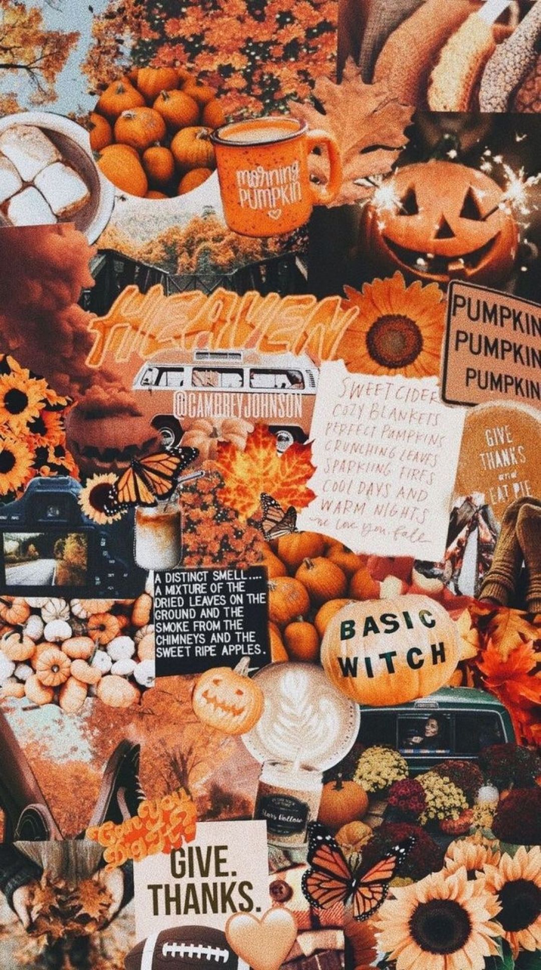 Aesthetic Pumpkin Wallpapers
