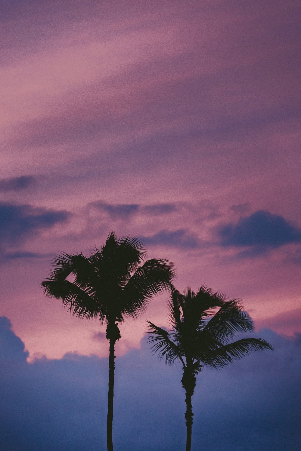 Aesthetic Purple Pink Desktop Wallpapers