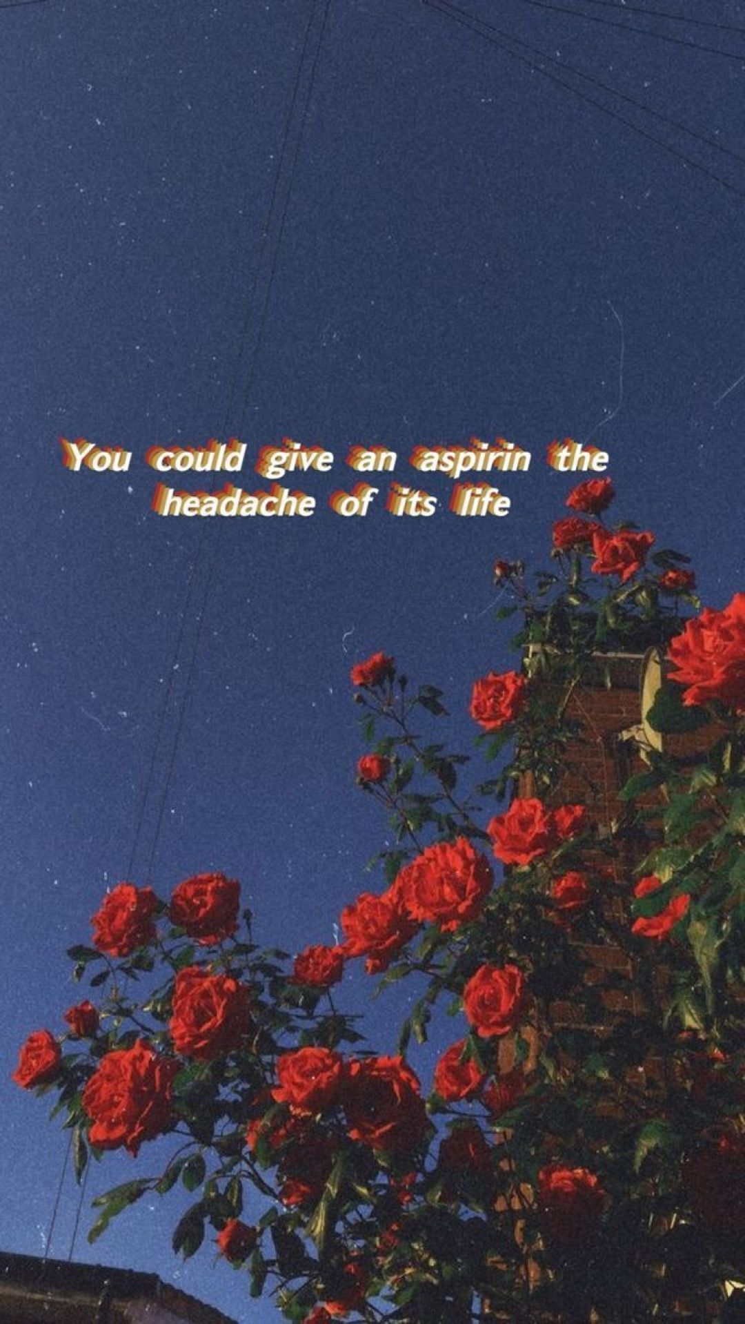 Aesthetic Quotes Tumblr Wallpapers