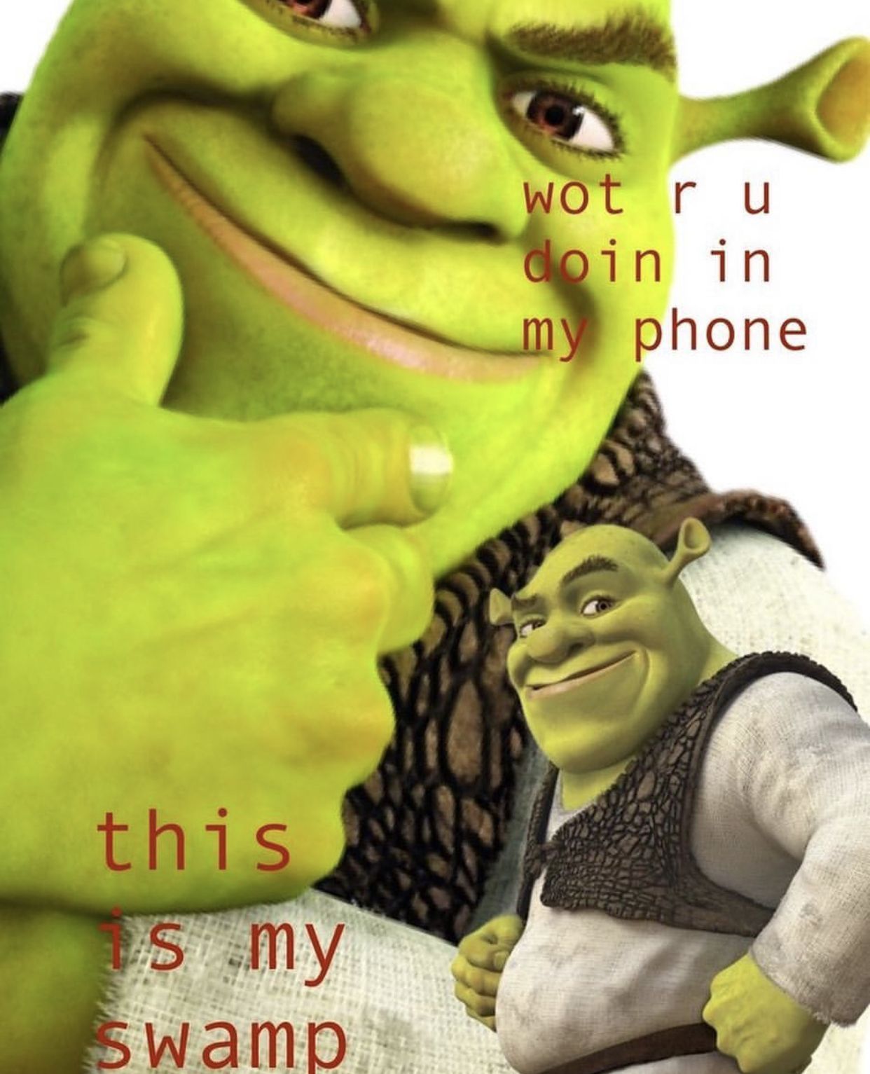 Aesthetic Shrek Wallpapers