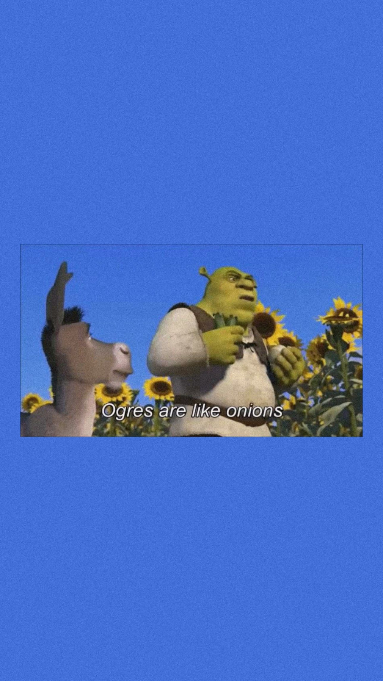 Aesthetic Shrek Wallpapers