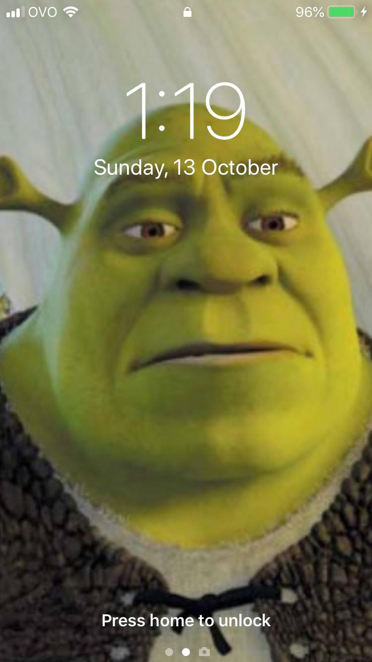 Aesthetic Shrek Wallpapers