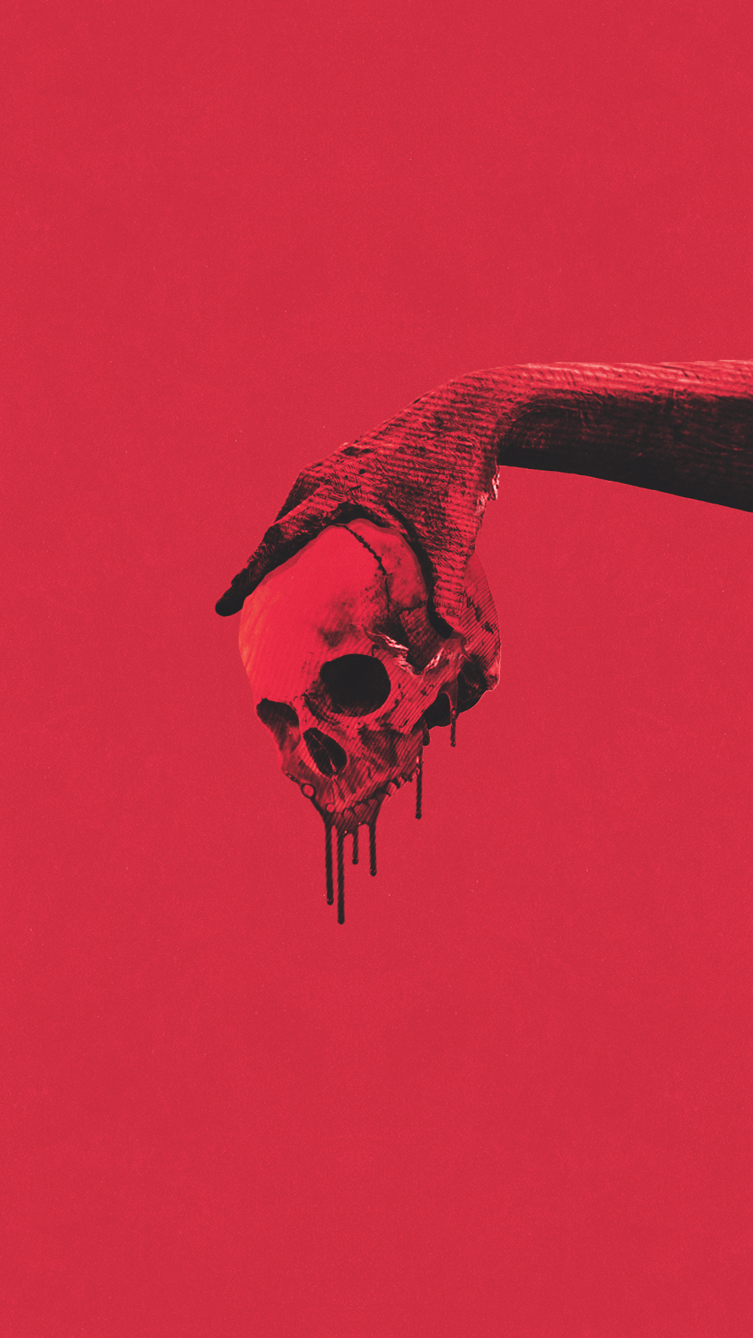 Aesthetic Skull Wallpapers