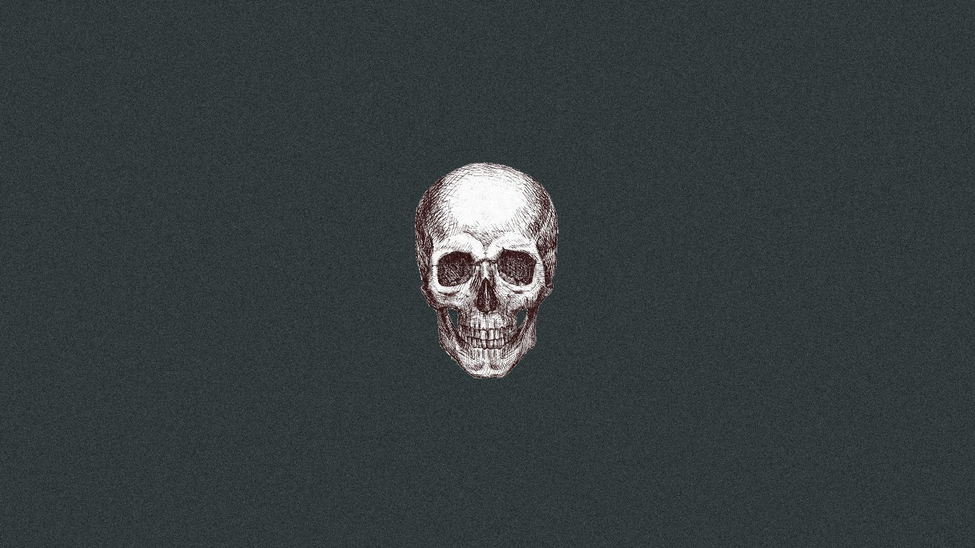 Aesthetic Skull Wallpapers