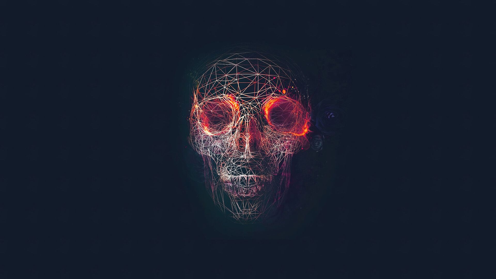 Aesthetic Skull Wallpapers