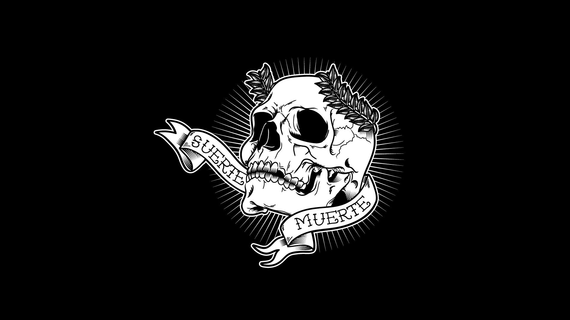 Aesthetic Skull Wallpapers