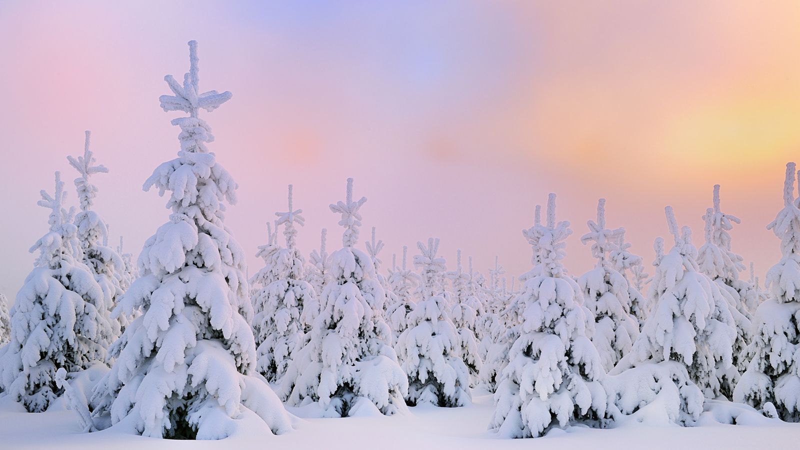 Aesthetic Snow Wallpapers