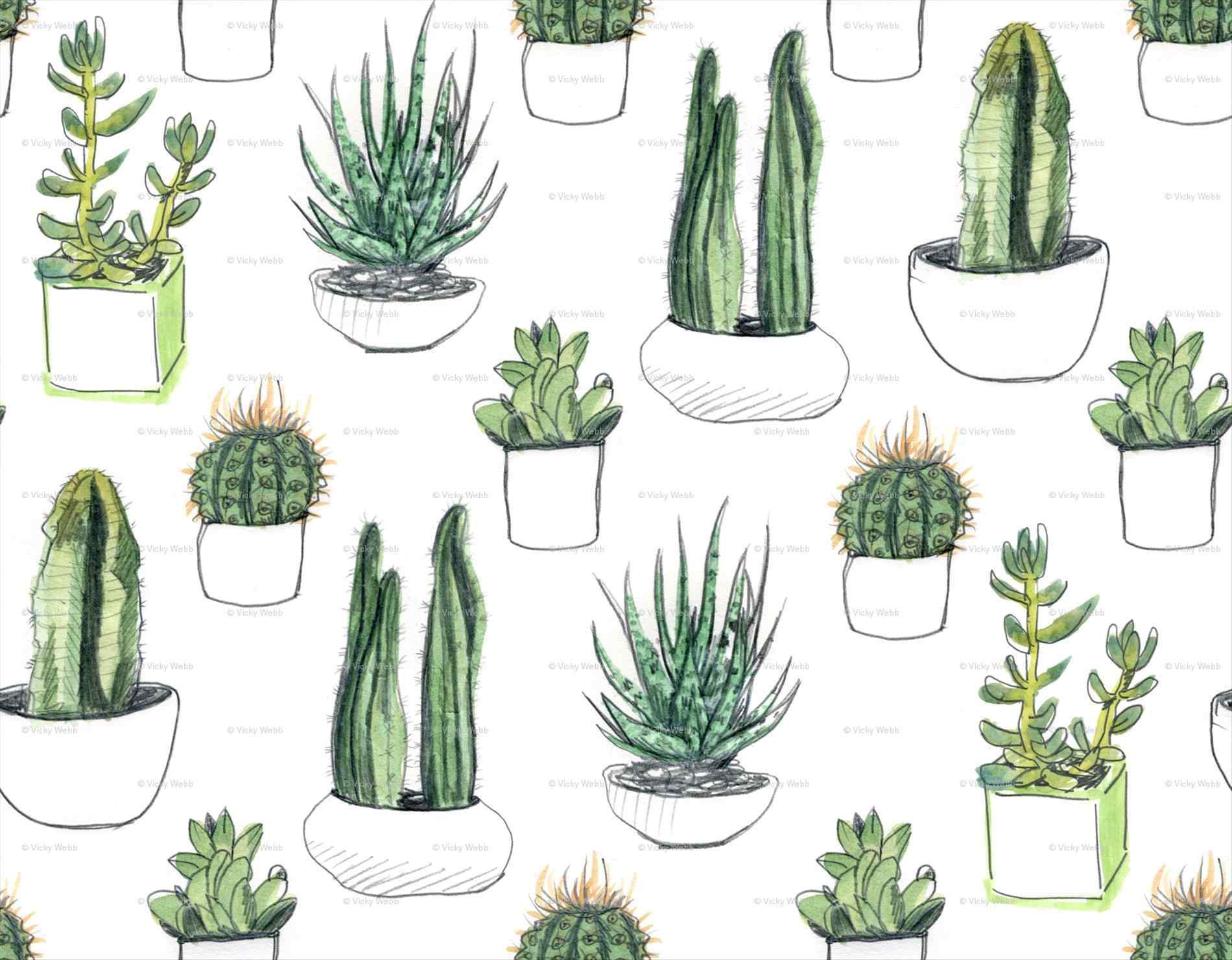 Aesthetic Succulents Wallpapers