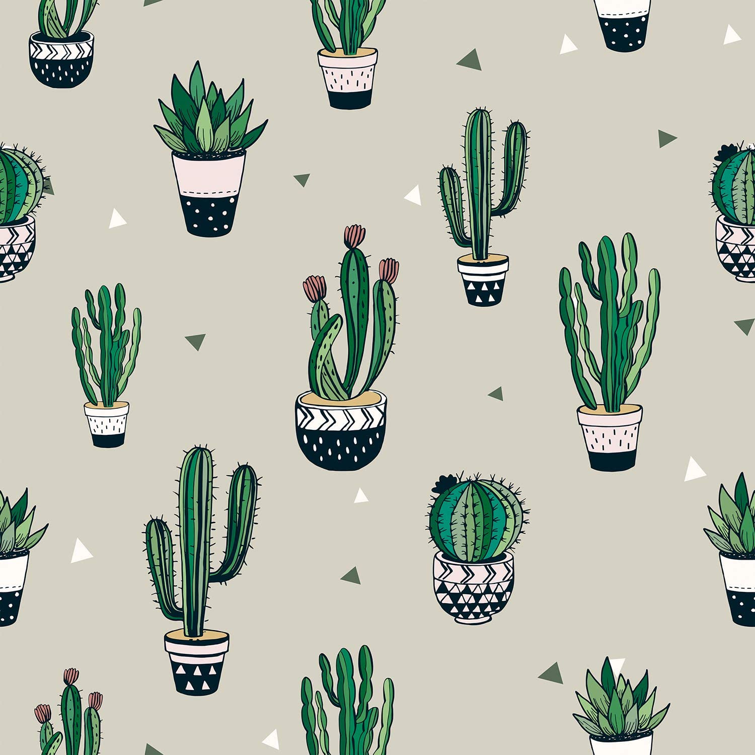 Aesthetic Succulents Wallpapers